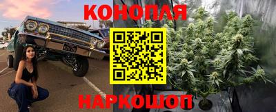 мдпв Дубна