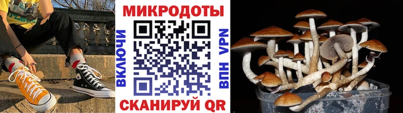 Галлюциногенные грибы мухоморы  Новоалтайск 
