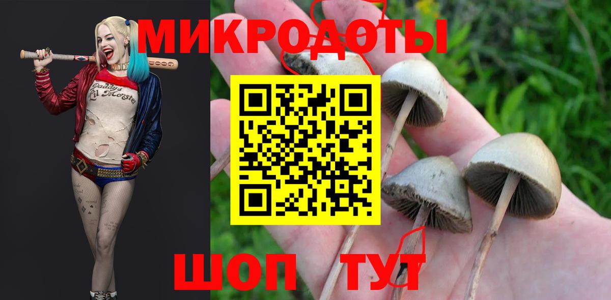 Новоалтайск  Галлюциногенные грибы прущие грибы  Псилоцибиновые грибы мицелий  Вход с VPN 